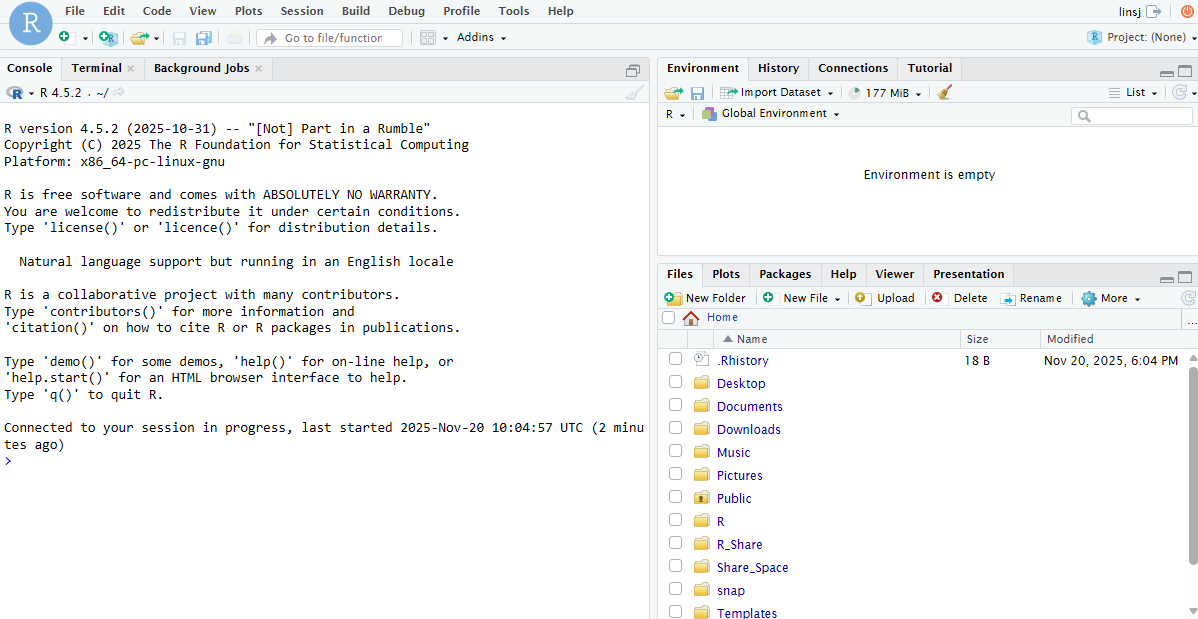 image-20251120180746366
