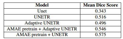 AMAE-fine-without-pretraining
